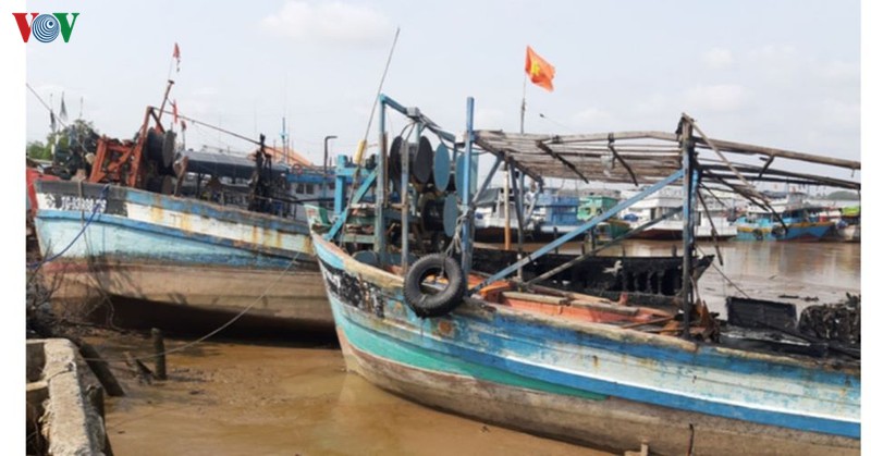 khan truong lam ro 5 tau ca cua ngu dan bi chay o tien giang hinh 1
