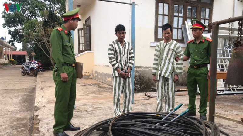 tom gon 2 doi tuong trom cap quang dem ban hinh 1