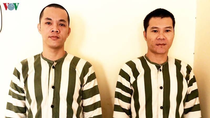 vu cuop heo tao ton o dong nai: bat giu 2 doi tuong hinh 1