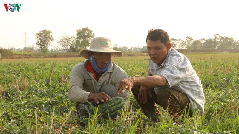 nhung mo hinh thich nghi voi han man o dbscl hinh 1