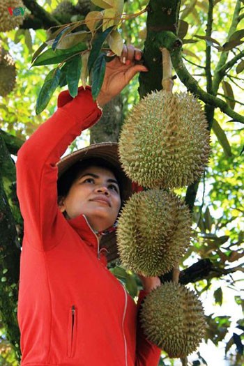 45 nam ngay giai phong khanh hoa: nang tam do thi moi hinh 3