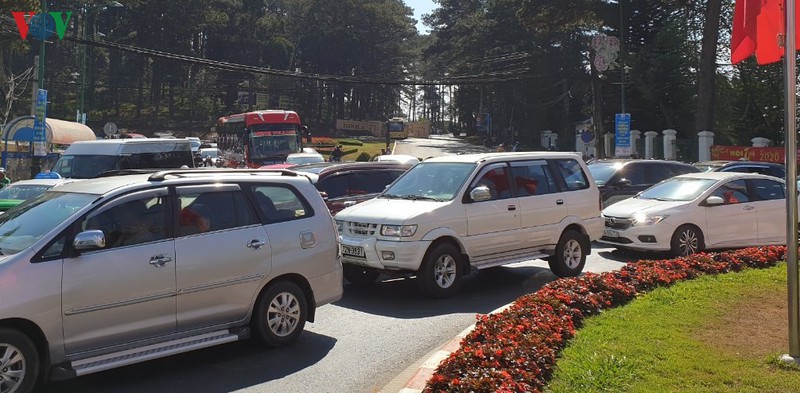 sau cach ly xa hoi, du khach bat dau do ve da lat hinh 1