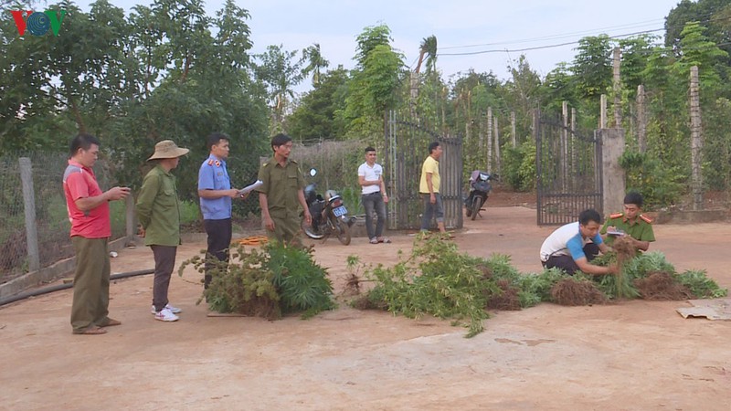 trong can sa trai phep, hai chi em bi xu ly hinh 1