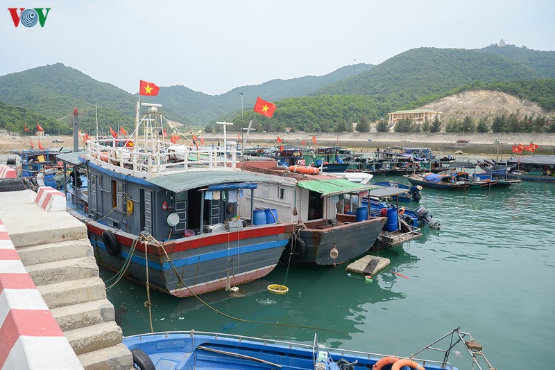 dao tran - quang ninh sap co dien luoi quoc gia hinh 1