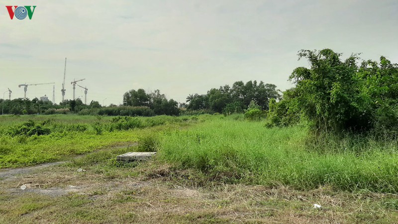 khoi to vu an lua dao chiem doat tai san xay ra tai cong ty phi long hinh 2