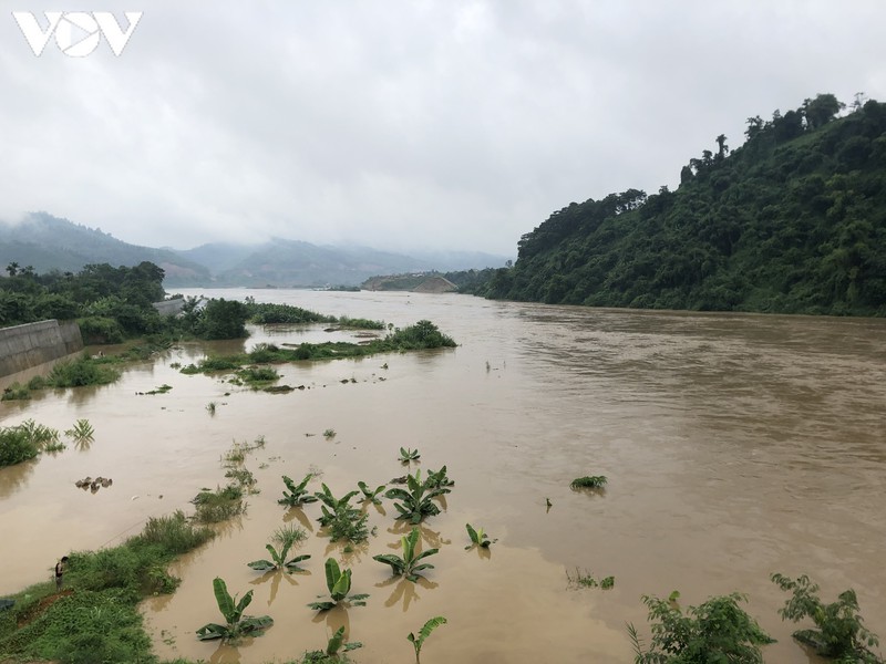 lu lon keo ve, song hong qua tp lao cai menh mong nuoc hinh 13