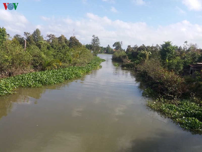 tien giang: nuoc man bua vay, vuon sau rieng dac san dieu dung hinh 5