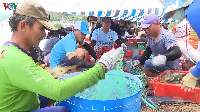 phu yen quy hoach vung nuoi thuy san ben vung hinh 1