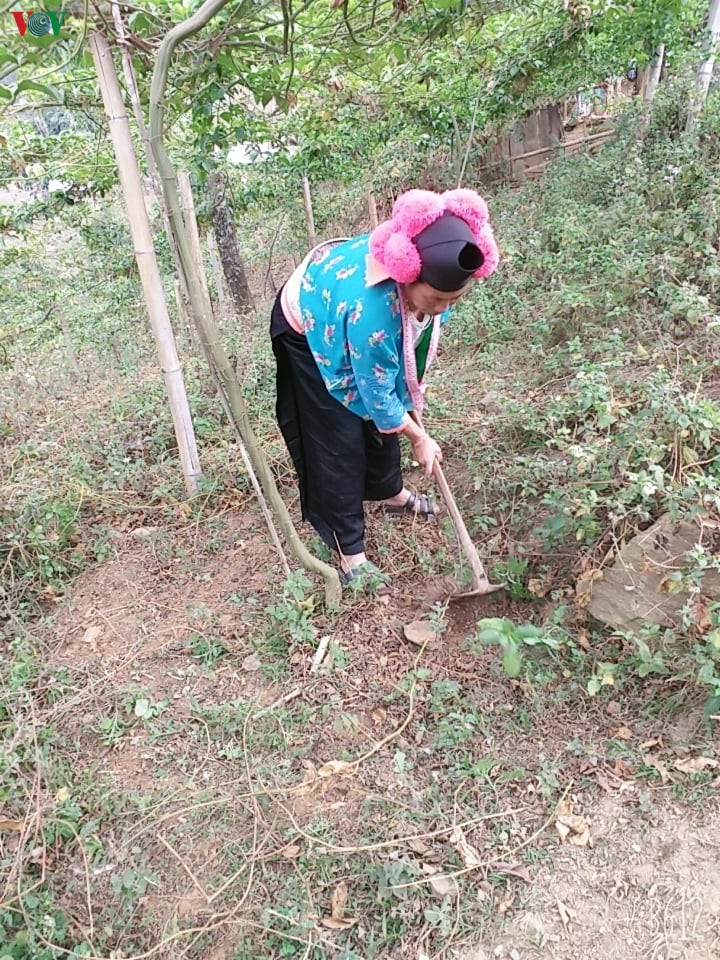 nguoi phu nu mong vung cao khong cam chiu doi ngheo hinh 2