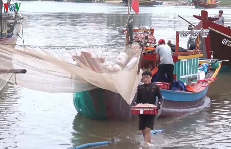 quang binh: ngu dan duoc mua ruoc bien hinh 1