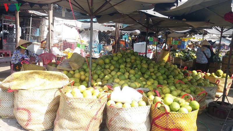 tien giang: dam bao du cac mat hang thiet yeu trong mua han man hinh 2
