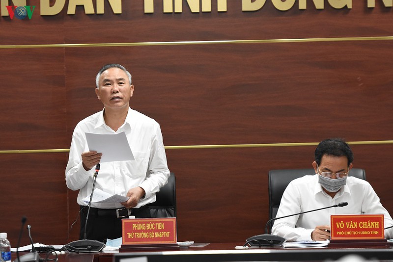 dong nai quyet tam den cuoi nam 2020, dan heo se dat 2,5 trieu con hinh 1