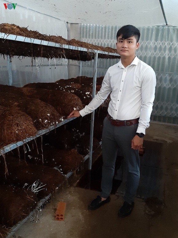 bo cong ty nuoc ngoai, 9x khoi nghiep thanh cong nho nuoi trun que  hinh 2