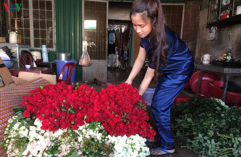lam dong rau, hoa tang gia tro lai nha vuon phan khoi hinh 1