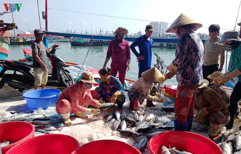 ngu dan khanh hoa: lenh cam danh bat ca cua trung quoc la vo gia tri hinh 1