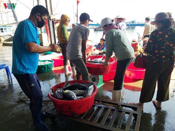 khanh hoa: nghe bien gap kho vi thieu ban di bien hinh 3