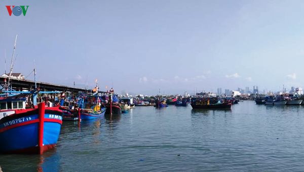 khanh hoa: nghe bien gap kho vi thieu ban di bien hinh 1