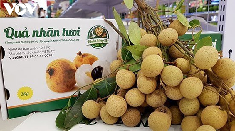 xuat khau nong san son la: thanh cong nho ca he thong chinh tri vao cuoc hinh 1