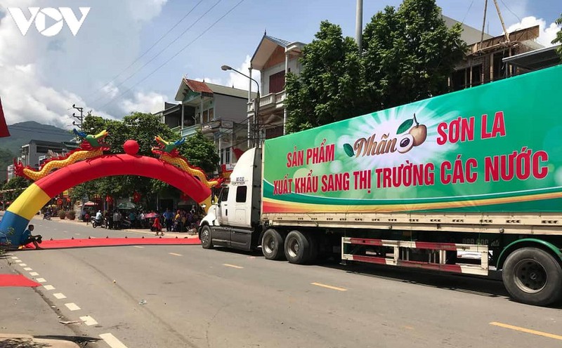 xuat khau nong san son la: thanh cong nho ca he thong chinh tri vao cuoc hinh 3