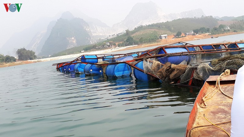 yen bai tap trung khac phuc hau qua mua loc hinh 1