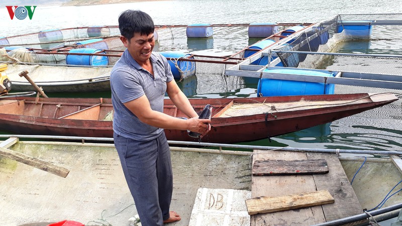 yen bai tap trung khac phuc hau qua mua loc hinh 4