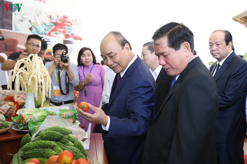 thu tuong du hoi nghi xuc tien dau tu lon nhat tra vinh hinh 2