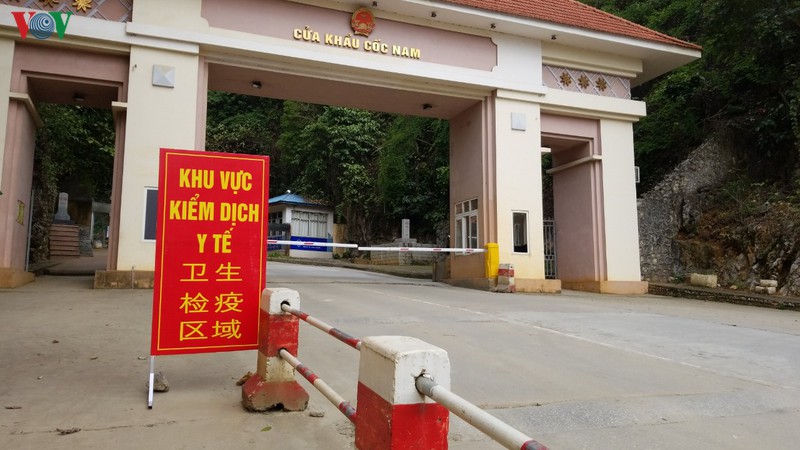 nong san un u o lang son do anh huong cua dich viem duong ho hap cap hinh 1