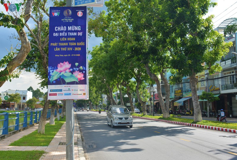 "dat sen hong" san sang cho lien hoan phat thanh toan quoc lan thu xiv hinh 12