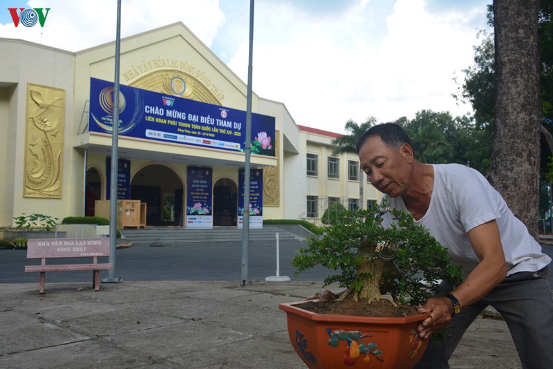 "dat sen hong" san sang cho lien hoan phat thanh toan quoc lan thu xiv hinh 2