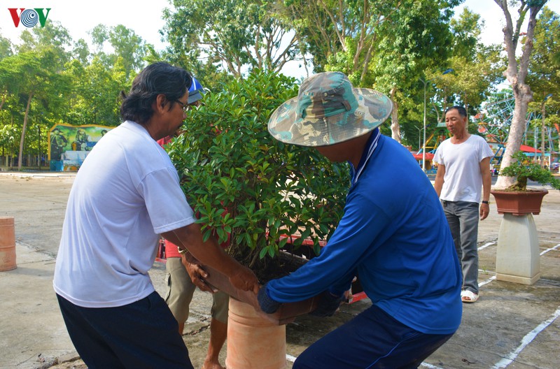 "dat sen hong" san sang cho lien hoan phat thanh toan quoc lan thu xiv hinh 4