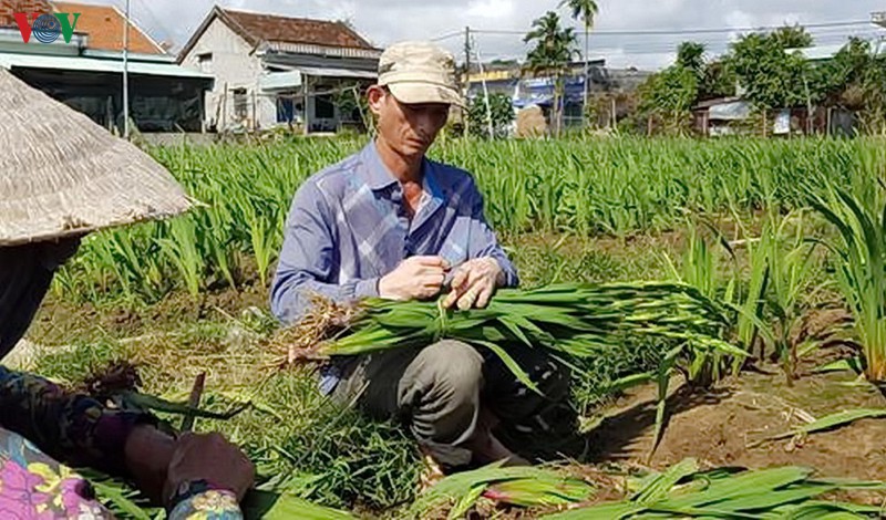 hoa lay on no dep, nguoi trong hua hen duoc gia cao hinh 2