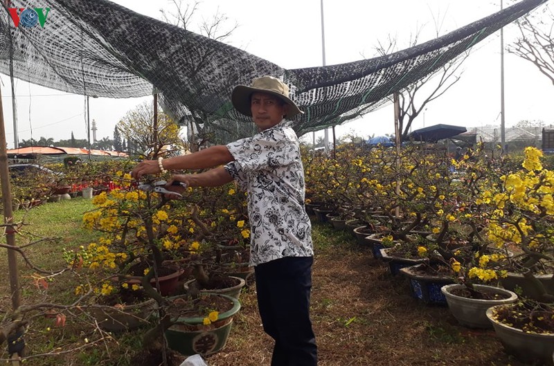 thi truong hoa tet da nang: nhieu nguoi ban, it nguoi mua hinh 1