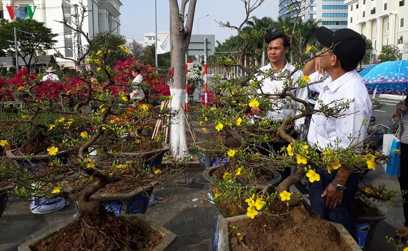 thi truong hoa tet da nang: nhieu nguoi ban, it nguoi mua hinh 2