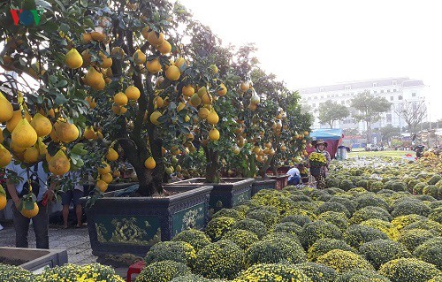 thi truong hoa tet da nang: nhieu nguoi ban, it nguoi mua hinh 3