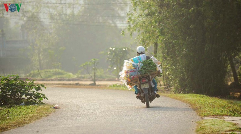 hue binh yen ngay 30 tet hinh 2
