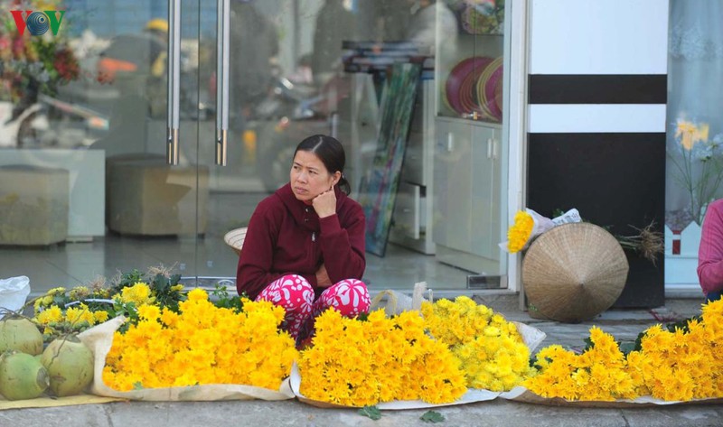 hue binh yen ngay 30 tet hinh 8