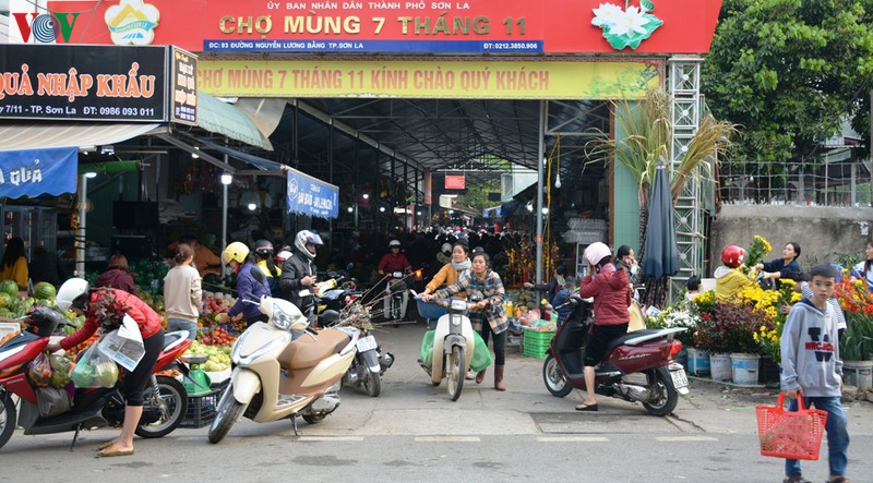 son la tap nap ngay cho cuoi nam hinh 1