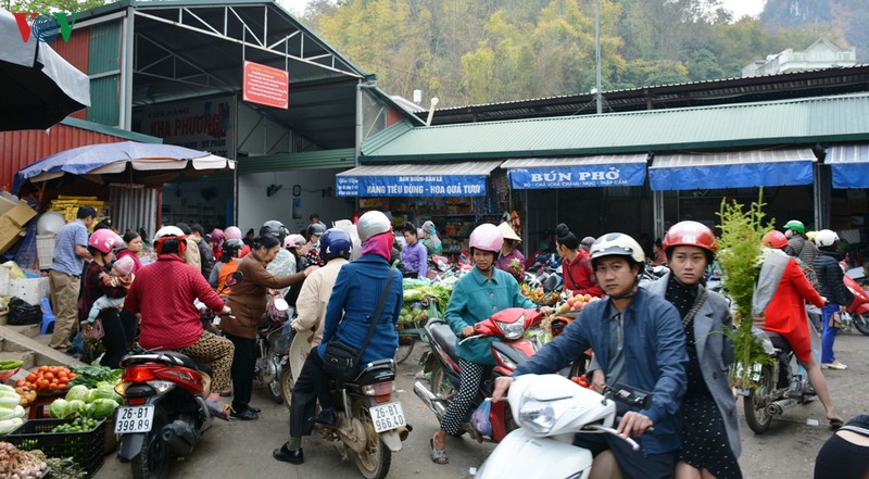 son la tap nap ngay cho cuoi nam hinh 2