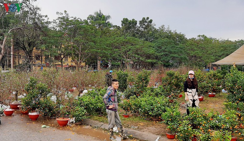 bac kan bat ngo co mua da ngay 30 tet hinh 2
