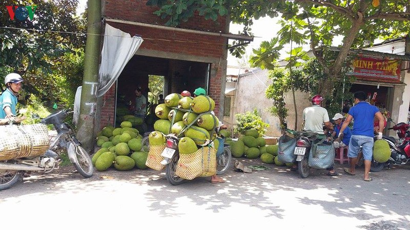 "vuong quoc" trai cay dung ngoi khong yen truoc nguy co virus corona hinh 1