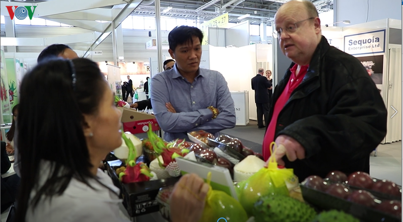 cac doanh nghiep hiep hoi rau qua viet nam tham gia fruit logistica 2020 hinh 1