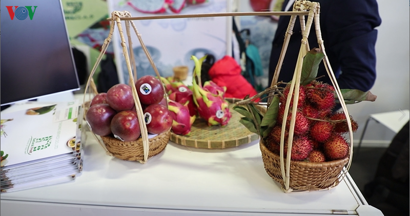 cac doanh nghiep hiep hoi rau qua viet nam tham gia fruit logistica 2020 hinh 2