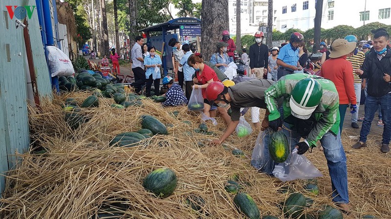 thu mua dua hau tu gia lai dua ve tphcm phat mien phi cho nguoi dan hinh 1
