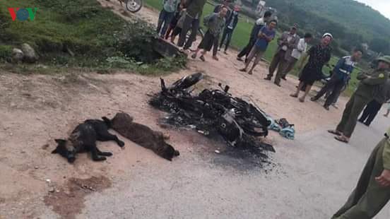 vu 2 nguoi bi danh vi nghi trom cho: khoi to vu an giet nguoi hinh 1