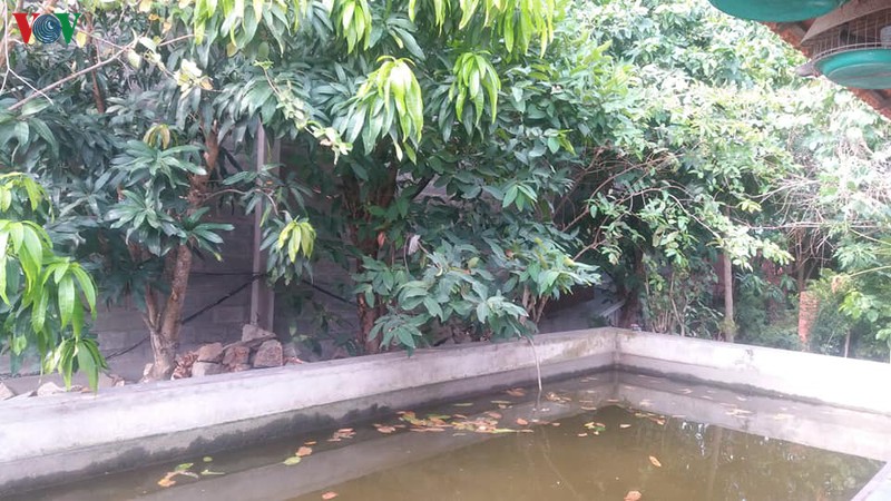 mua trai mua "tiep nuoc" cho hang chuc nghin ha vuon cay dac san hinh 1