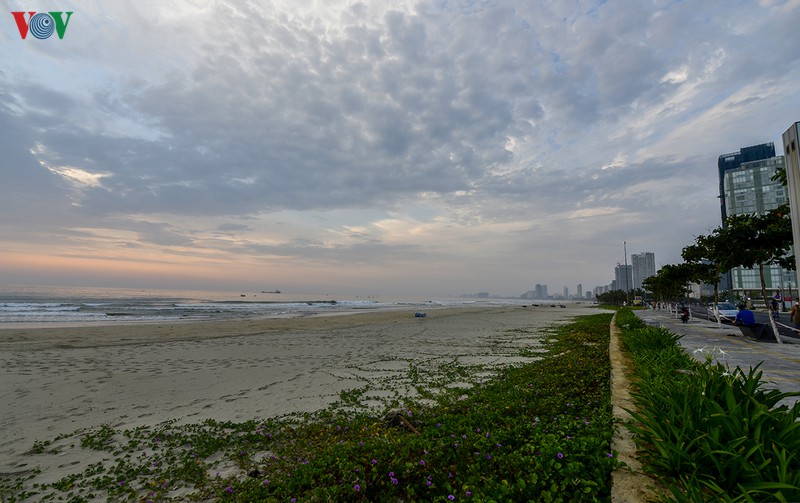 mot da nang nang dong, vang lang giua dai dich covid-19 hinh 3