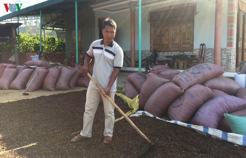 lam giau tren vung dat kho ro men hinh 2