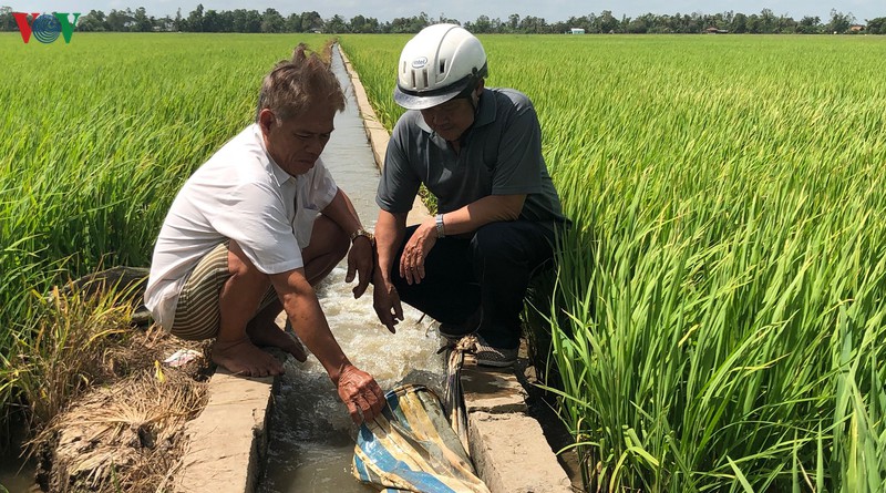 mo hinh tuoi lua uot kho xen ke mang lai hieu qua cao giua mua han man hinh 2
