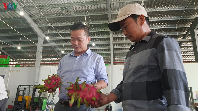ba con huyen chau thanh thu hang tram trieu dong/nam nho thanh long hinh 2