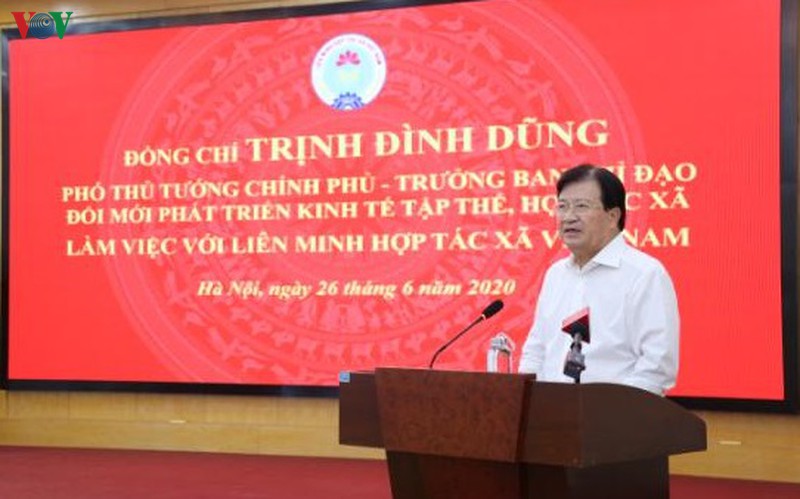pho tt trinh dinh dung lam viec voi lien minh hop tac xa viet nam hinh 1
